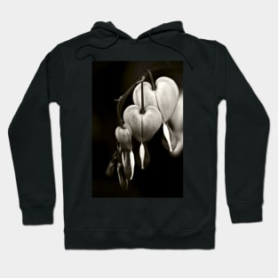 Bleeding Hearts (Dicentra) flowers in black and white Hoodie